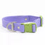 Lavender Garden Waterproof Dog Collar Lavender Meadow Green Collar Aria the Fox