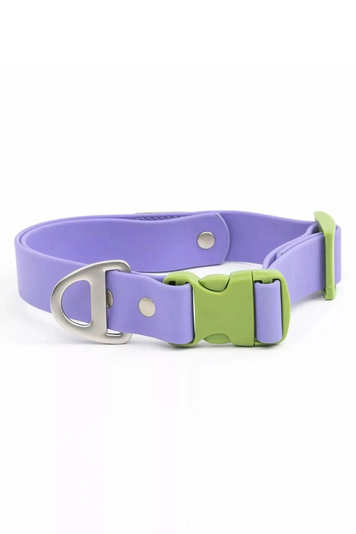 Lavender Garden Waterproof Dog Collar Lavender Meadow Green Collar Aria the Fox