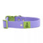 Lavender Garden Waterproof Dog Collar Collar Aria the Fox