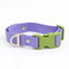 Lavender Garden Waterproof Dog Collar Lavender Meadow Green Collar Aria the Fox