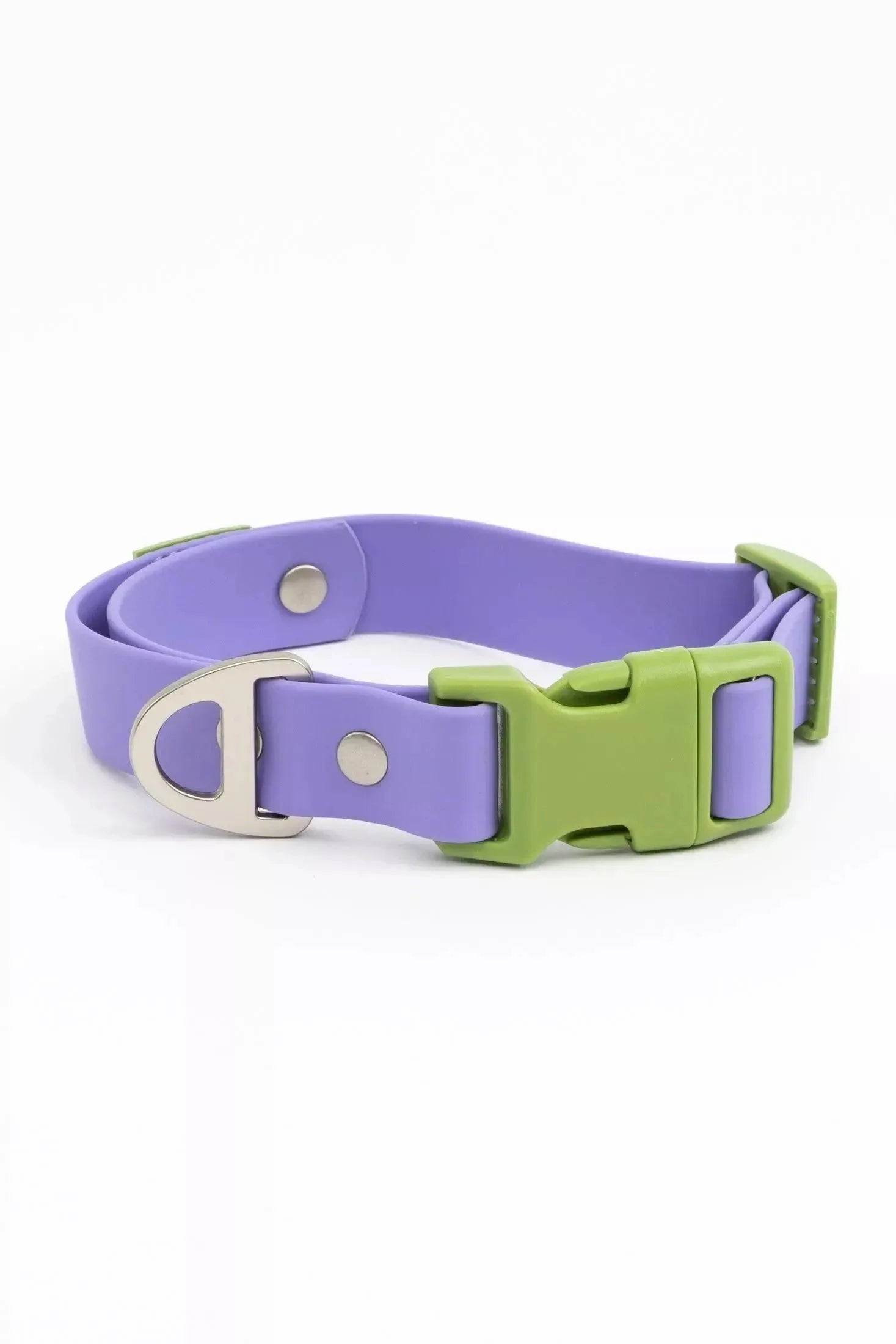 Lavender Garden Waterproof Dog Collar Lavender Meadow Green Collar Aria the Fox