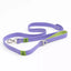 Lavender Garden Waterproof Dog Leash Lavender Meadow Green Leash Aria the Fox