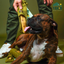Flaxseed & Mint Cheese Chews for Dogs FLAXSEED YAK CHEWS Yak9 Chews