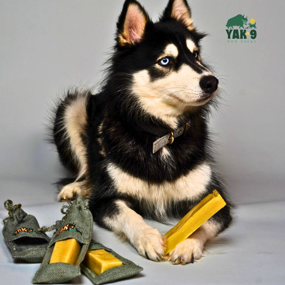 Yak and Cow Cheese Chews for Dogs YAK AND COW MILK CHEWS Yak9 Chews