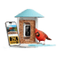 Birdfy Feeder - AI-Powered Smart Bird Feeder with Camera Standard Kit AI by Subscription Birdfy Feeder Birdfy