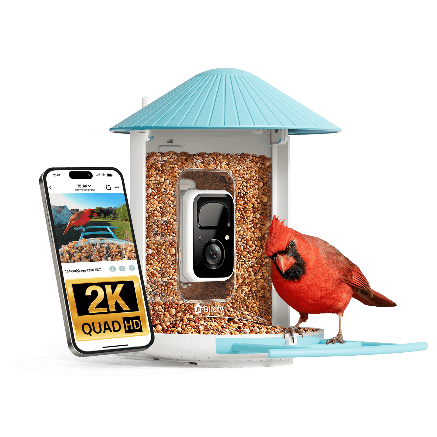 Birdfy Feeder - AI-Powered Smart Bird Feeder with Camera Standard Kit AI by Subscription Birdfy Feeder Birdfy