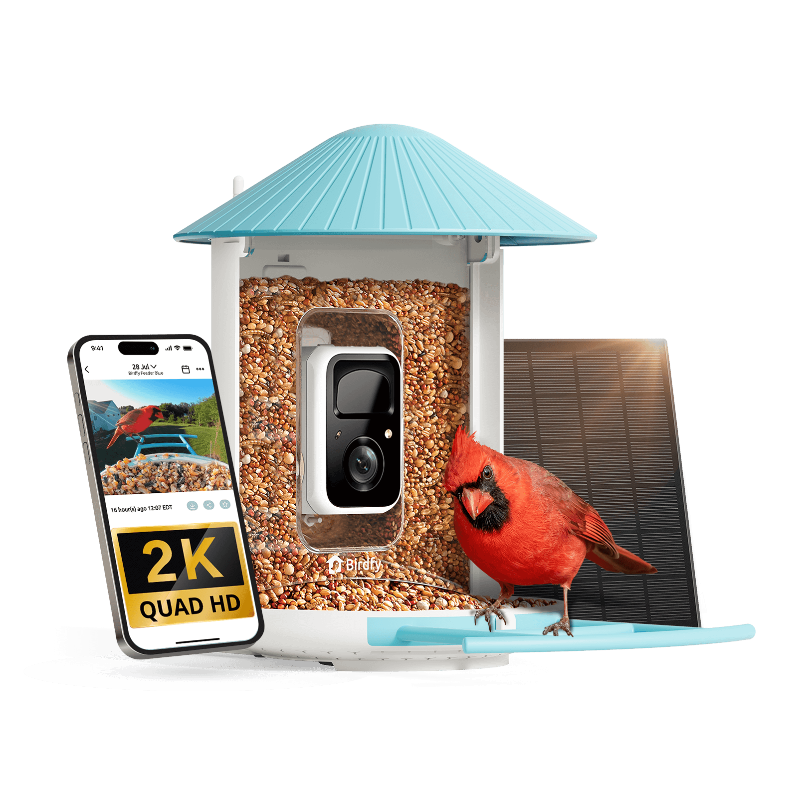 Birdfy Feeder - AI-Powered Smart Bird Feeder with Camera + Solar Panel AI by Subscription Birdfy Feeder Birdfy