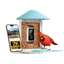 Birdfy Feeder - AI-Powered Smart Bird Feeder with Camera Standard Kit AI by Subscription Birdfy Feeder 1 Birdfy