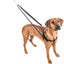 Red Freedom No-Pull Dog Harness 2 Hounds Design