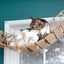 Cat Wall Bridge and Shelf Set Cat Bridge Catastrophic Creations