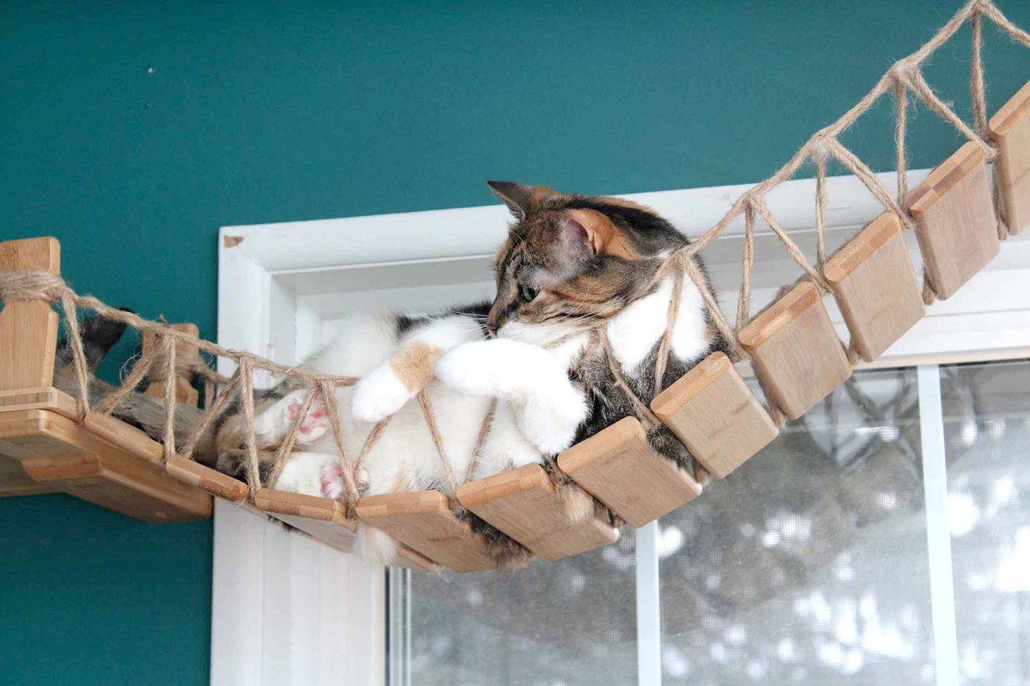 Cat Wall Bridge and Shelf Set Cat Bridge Catastrophic Creations