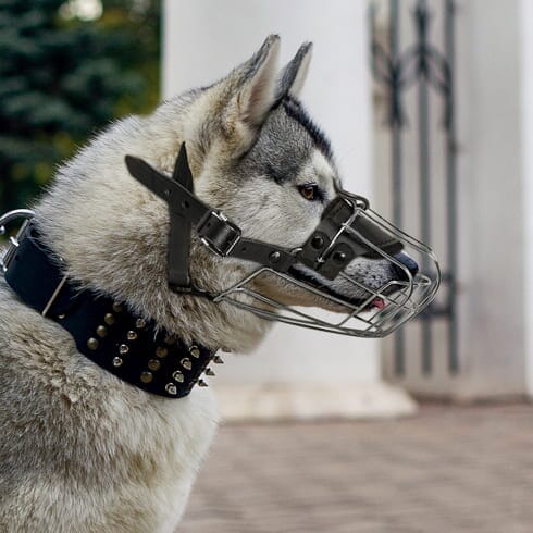 Viper Delta Metal Wire Basket Dog Muzzle Dog Muzzles Dogline