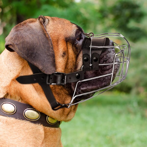 Viper Delta Metal Wire Basket Dog Muzzle Dog Muzzles Dogline