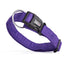 Comfort Microfiber Flat Dog Collar Purple Dog Collars Dogline