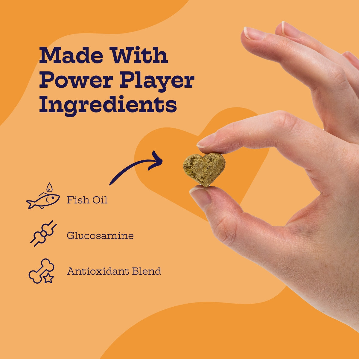 Multi-Plus Chews Moe's Healthy Pets