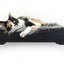The Cat Nest Bed Onyx Bamboo Gray Plush 18" Solid Shelf Cat shelves/bed Catastrophic Creations