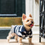 ‘Gene’ Cashmere blend Polo Sweaters BESPOKE PAWS