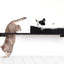 The Cat Nest Bed Onyx Bamboo Cream Plush 34" Escape Hatch Cat shelves/bed Catastrophic Creations