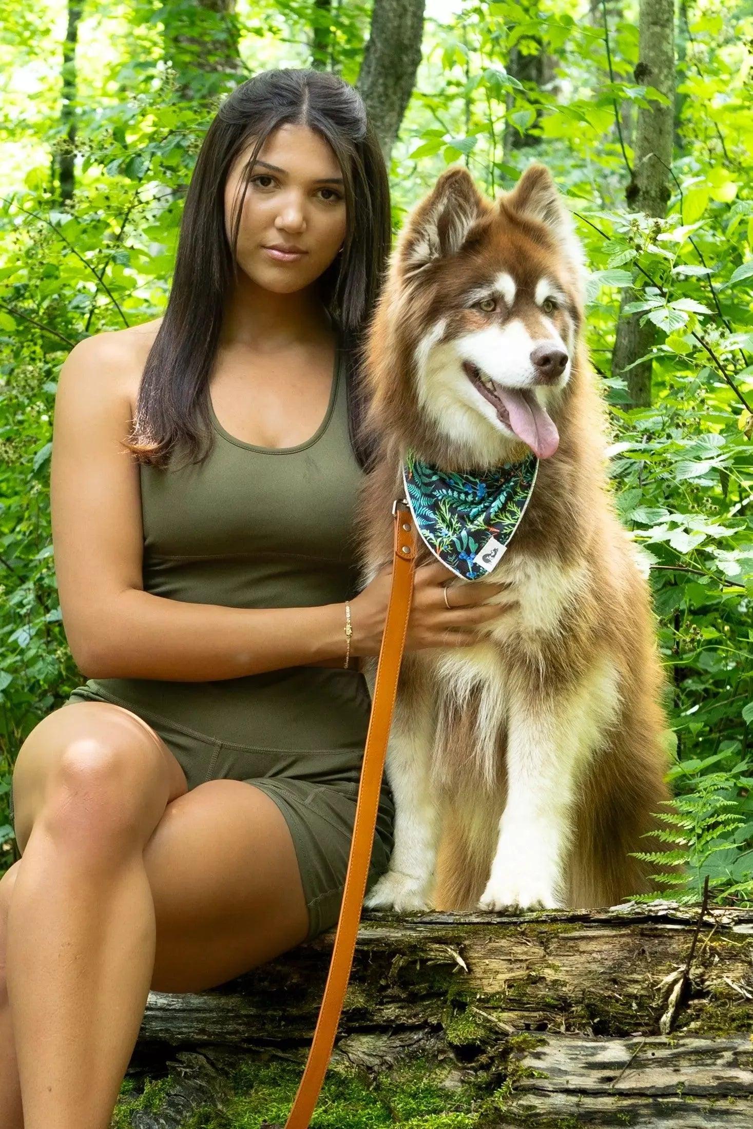 Magical Fern Forest Dog Bandana bandana Aria the Fox