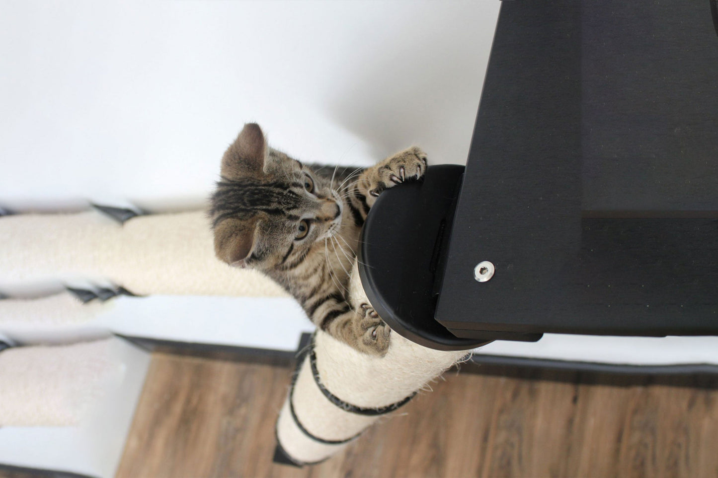 The Crossroads - Cat Wall Scratcher - Tree with Ramp Onyx Bamboo Charcoal Gray Canvas 16" Cat Condo Catastrophic Creations