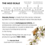 Manuka Honey Salve for Dogs, Horses & Humans The Hoof & Paw Co.