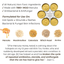 Manuka Honey Salve for Dogs, Horses & Humans The Hoof & Paw Co.