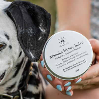 Manuka Honey Salve for Dogs, Horses & Humans The Hoof & Paw Co.