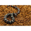 MicroChip Fine Coconut Chip Mix; Ready to Use Substrate ReptiChip LLC
