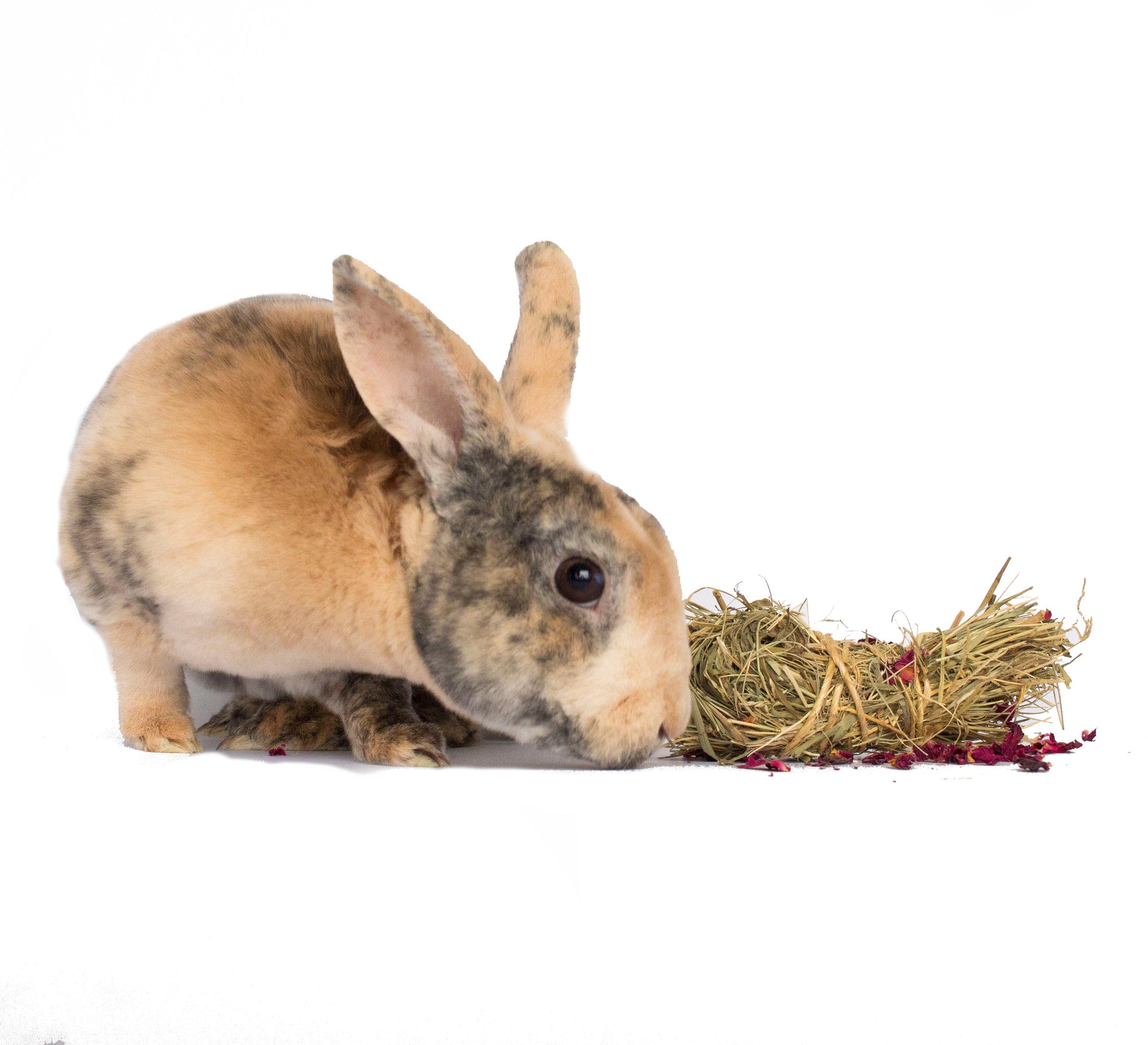 Mini Bale With Rose Petals For Rabbits, Guinea Pigs, Chinchillas, and Hamsters Dahlia Pets