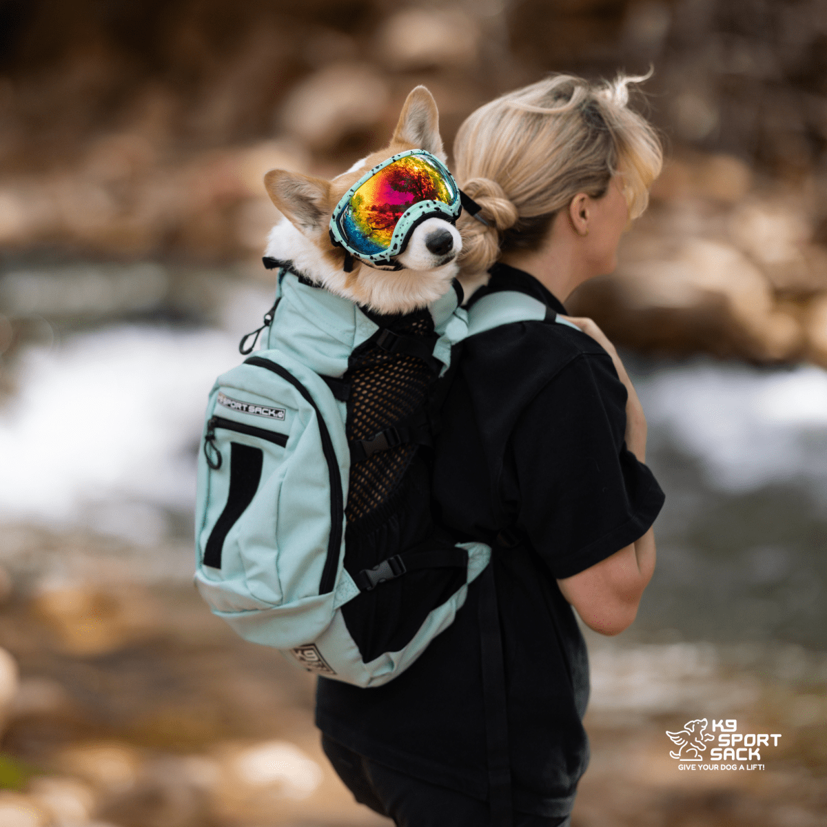 Plus 2 | Dog Carrier with Removable Storage Carriers K9 Sport Sack