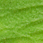 Mint Flavored Yak Cheese Chew - Made with REAL MINT LEAF Puree Yak Chew Chief’s Treats and Pet Supplies