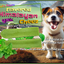 Mint Flavored Yak Cheese Chew - Made with REAL MINT LEAF Puree One Yak Chew Chief’s Treats and Pet Supplies