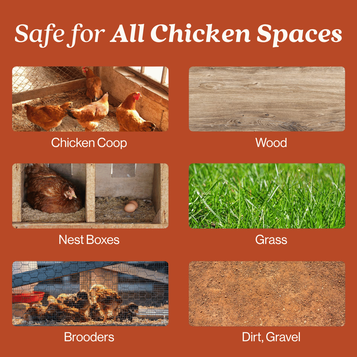 Chicken Coop Odor Eliminator Pet & Animal > Chicken Coop Odor EcoStrong