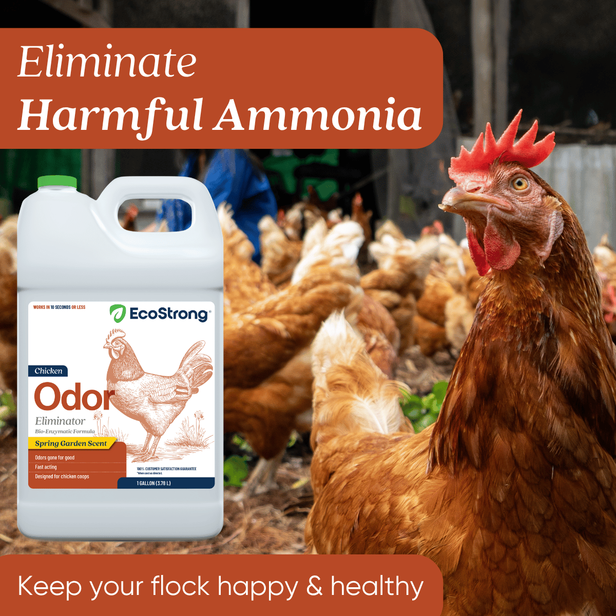 Chicken Coop Odor Eliminator Pet & Animal > Chicken Coop Odor EcoStrong