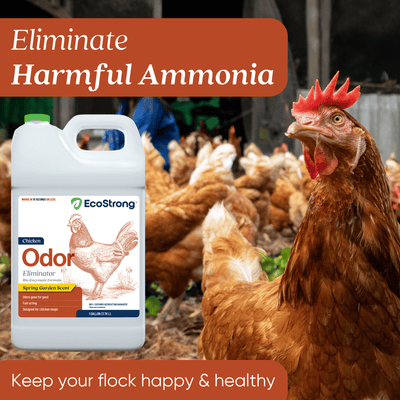 Chicken Coop Odor Eliminator Pet & Animal > Chicken Coop Odor EcoStrong
