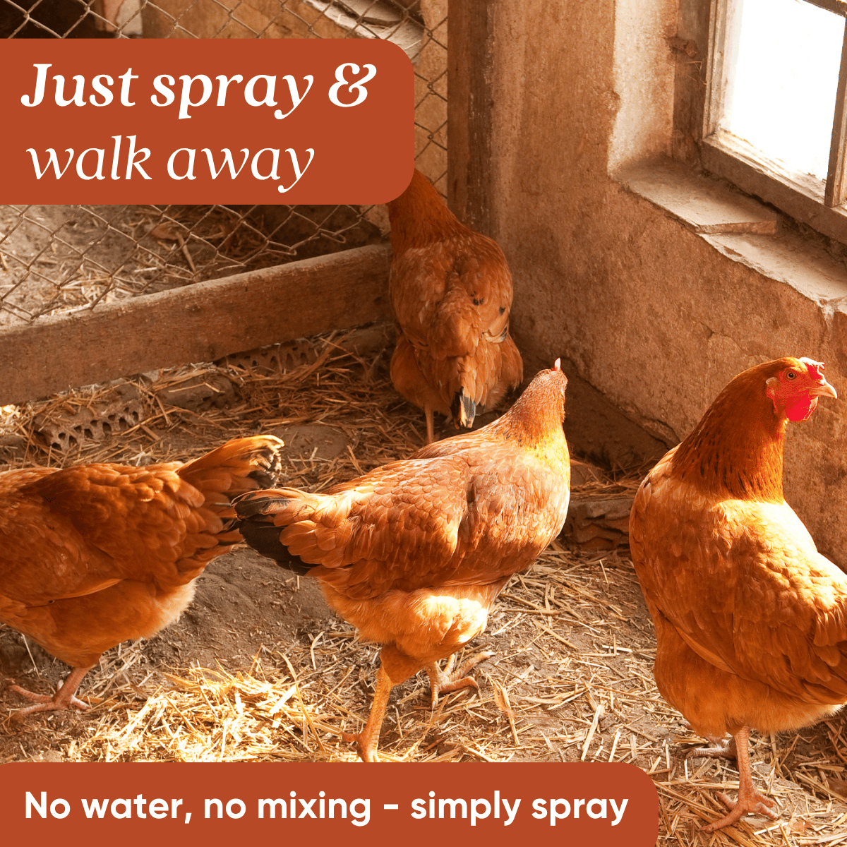 Chicken Coop Odor Eliminator Pet & Animal > Chicken Coop Odor EcoStrong