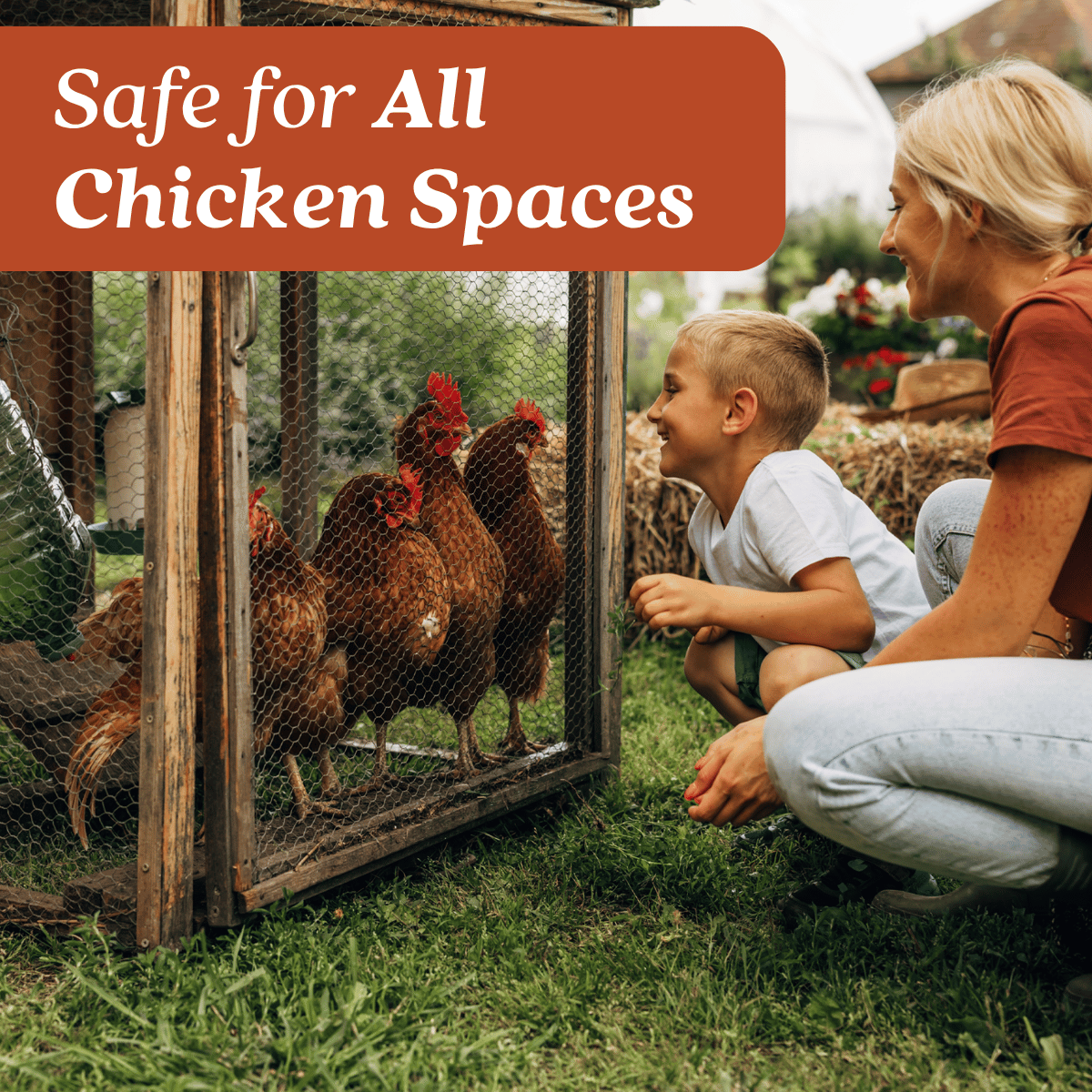 Chicken Coop Odor Eliminator Pet & Animal > Chicken Coop Odor EcoStrong