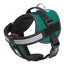 Unimax Multi-Purpose Dog Harness Teal Dog Harnesses Dogline