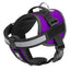 Unimax Multi-Purpose Dog Harness Purple Dog Harnesses Dogline