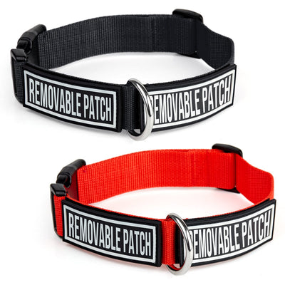 Omega Nylon Flat Collar + Built-in Hook & Loop Fastener Dog Collars Dogline