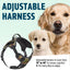 Dogline Quest Multi-Purpose No Pull Dog Harness Dog Harnesses Dogline