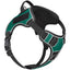 Dogline Quest Multi-Purpose No Pull Dog Harness Teal Dog Harnesses Dogline