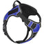 Dogline Quest Multi-Purpose No Pull Dog Harness Blue Dog Harnesses Dogline