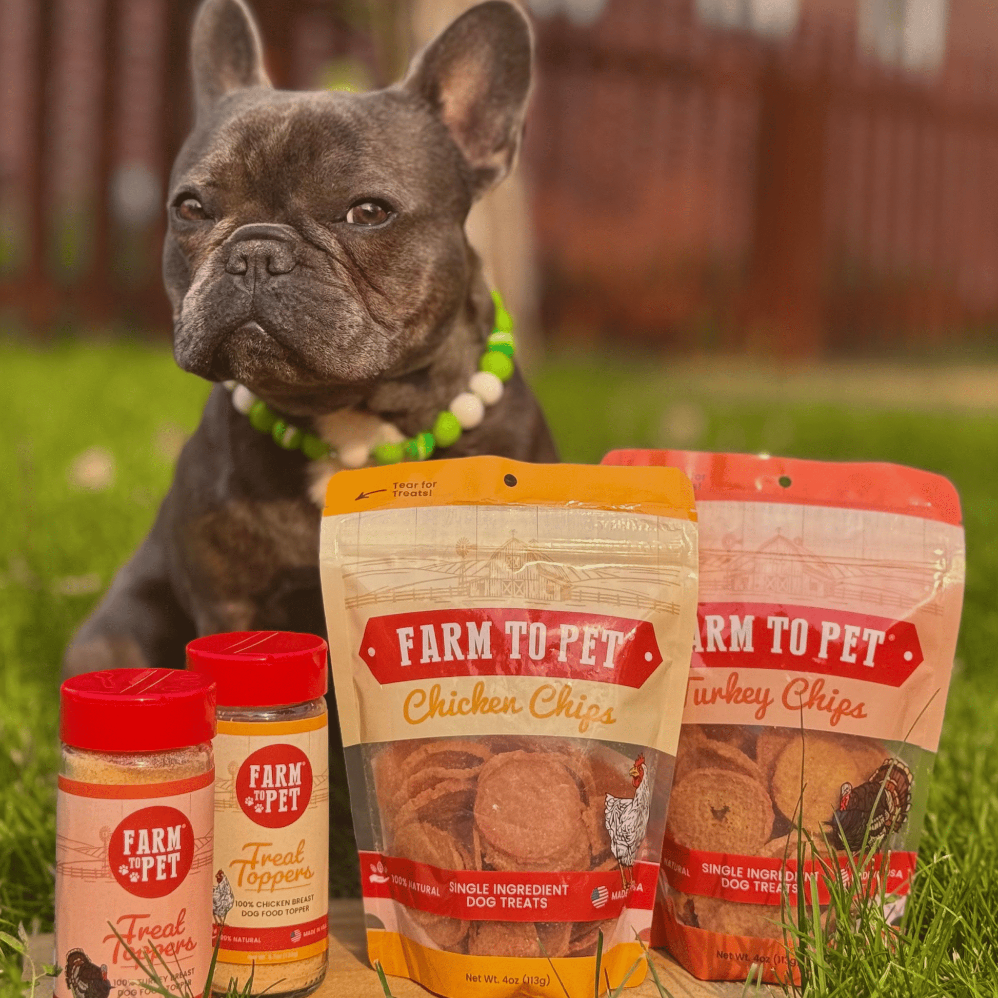 Chicken & Turkey Dog Food Topper Bundle Bundle Farm To Pet