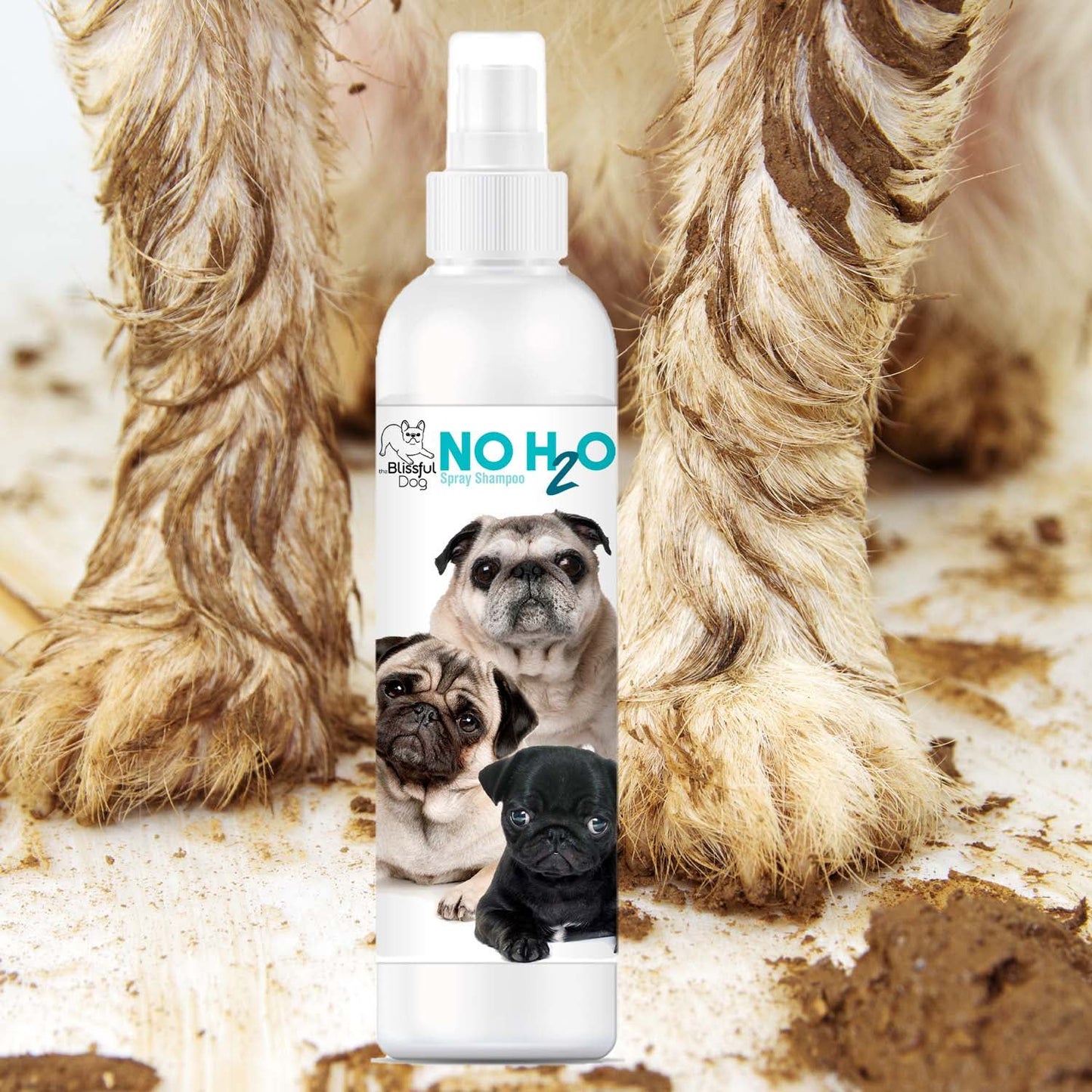 No H20 Spray Pet Shampoo SPRAY SHAMPOO The Blissful Dog