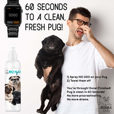 No H20 Spray Pet Shampoo 8 OZ BOTTLE SPRAY SHAMPOO The Blissful Dog