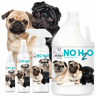 No H20 Spray Pet Shampoo SPRAY SHAMPOO The Blissful Dog