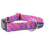 Neon Sunrise Pink Plaid Dog Collar – EarthStyle 1 inch 2 Hounds Design