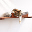 The Cat Nest Bed Cat shelves/bed Catastrophic Creations