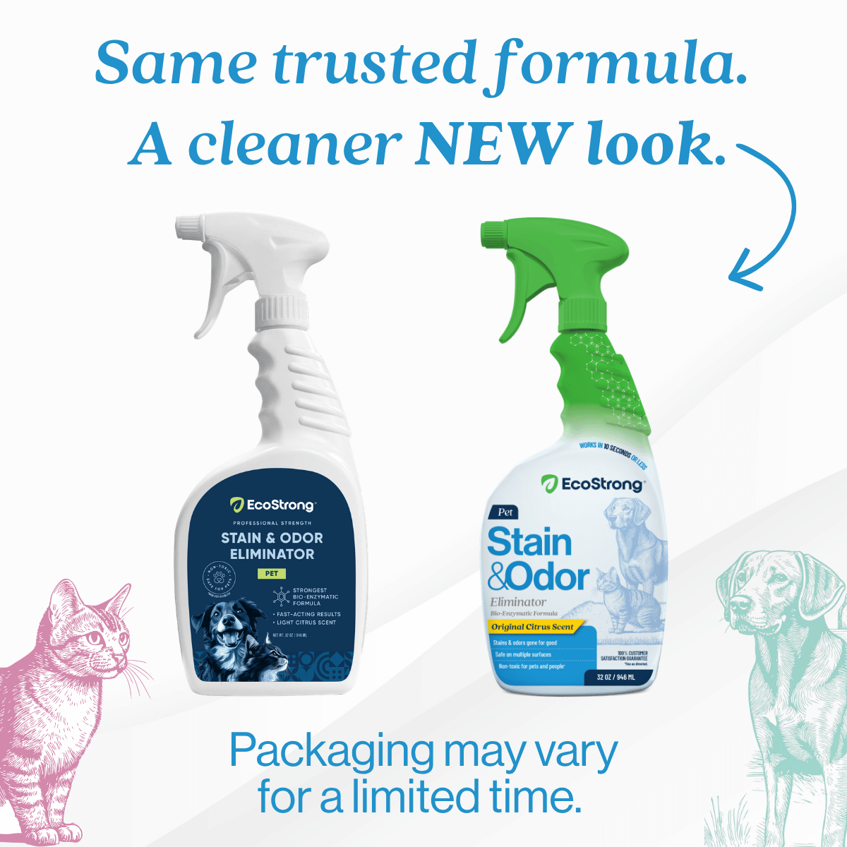 Pet Stain and Odor Eliminator Pet & Animal > Pet Stain & Odor EcoStrong